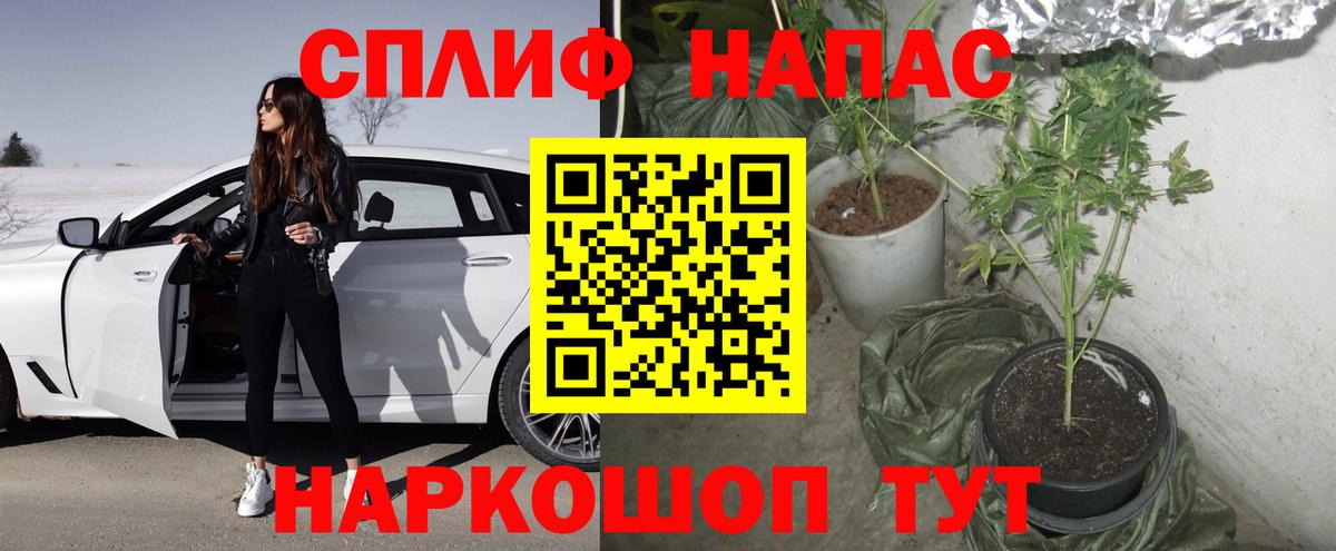Бошки Шишки план Омск